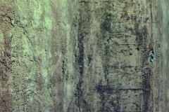 Monte Luke Studio-6a