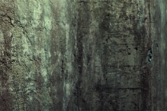 Monte Luke Studio-6b